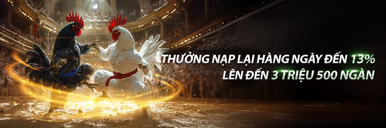 Sân đá gà trực tuyến kịch tính tại gacam67 chính thức, với những trận đấu gà chọi hấp dẫn